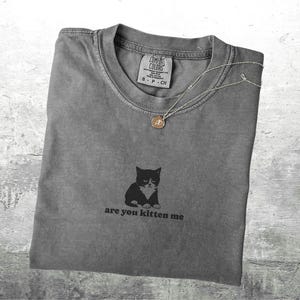 May include: Gray t-shirt with a black cat graphic and the phrase "are you kitten me." A silver necklace with a small pendant rests on the shirt. The shirt is folded and has a vintage look.