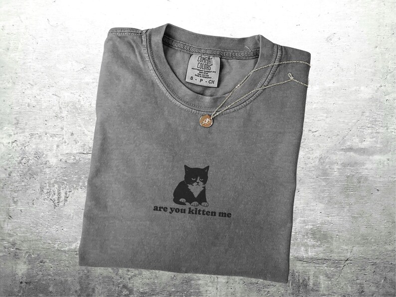 May include: Gray t-shirt with a black cat graphic and the phrase "are you kitten me." A silver necklace with a small pendant rests on the shirt. The shirt is folded and has a vintage look.