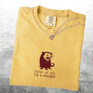 May include: Mustard yellow t-shirt with a maroon opossum graphic and the text "first of all I'm a delight." A silver necklace with a small pendant rests on the shirt. The shirt is folded.