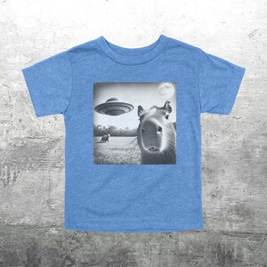 May include: A light blue t-shirt with a black and white graphic of a capybara looking at the camera. A UFO is flying in the background. The graphic also includes a small animal in the distance.