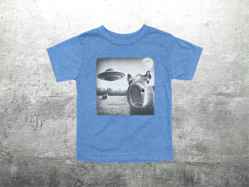 May include: A light blue t-shirt with a black and white graphic of a capybara looking at the camera. A UFO is flying in the background. The graphic also includes a small animal in the distance.