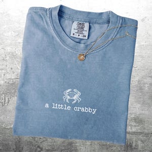 Minimalist Beach Shirt, Funny Meme Shirt, A Little Crabby, Summer Aesthetic, Oversize, Womens, Mens, Unisex Comfort Colors T-shirt