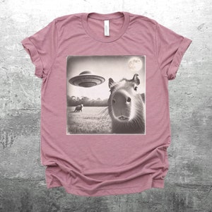 K&ouml;nnte beinhalten: Ein pinkfarbenes T-Shirt mit einem Schwarzwei&szlig;bild eines Kapibaras, das in die Kamera schaut. Ein UFO fliegt &uuml;ber dem Kapibara im Bild. Das Bild ist vor dem Hintergrund eines grasbewachsenen Feldes.