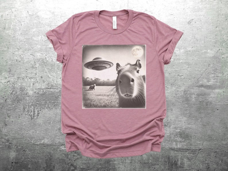 K&ouml;nnte beinhalten: Ein pinkfarbenes T-Shirt mit einem Schwarzwei&szlig;bild eines Kapibaras, das in die Kamera schaut. Ein UFO fliegt &uuml;ber dem Kapibara im Bild. Das Bild ist vor dem Hintergrund eines grasbewachsenen Feldes.