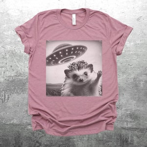May include: A pink t-shirt with a black and white graphic of a hedgehog with a UFO hovering above it.
