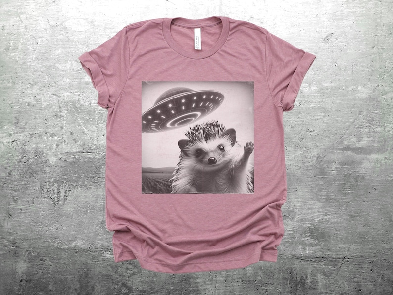 May include: A pink t-shirt with a black and white graphic of a hedgehog with a UFO hovering above it.