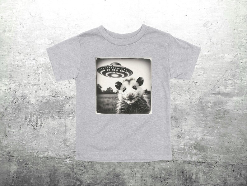 May include: A grey t-shirt with a black and white image of an opossum and a UFO. The image is in a square frame. The shirt is made of a soft material.