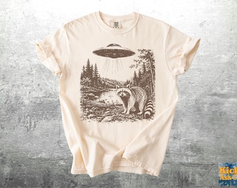 Funny Raccoon Meme Shirt, Oversize, Womens, Mens, Unisex Comfort Colors T-shirt