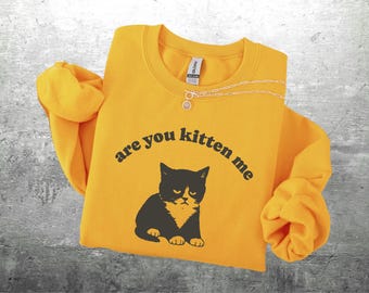 Funny Cat Meme Sweatshirt, Are You Kitten Me, Vintage Cat, Oversize, Womens, Mens