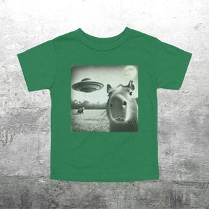May include: A green t-shirt with a black and white graphic of a capybara looking at the camera. The graphic also shows a flying saucer in the background.