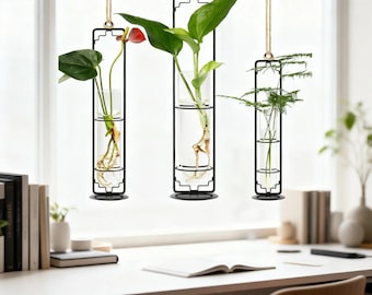 B Hanging Plant Propagation Station, Glass Test Tube Vase Decor