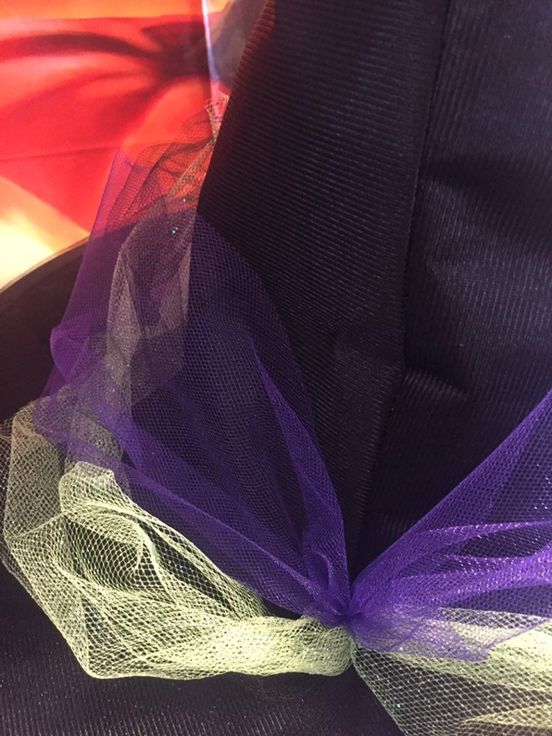 May include: A black witch hat with a purple and green tulle bow. The tulle is gathered at the top of the hat and flows down the sides.