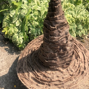 May include: A brown fabric witch hat with a wide brim and a tall, pointed crown. The hat is made of many layers of fabric, giving it a textured look.