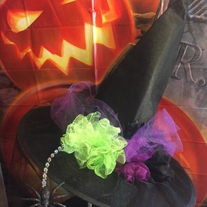 May include: A black witch's hat with a wide brim and a tall pointed crown. The hat is decorated with green, purple, and black tulle and a sparkly spider.