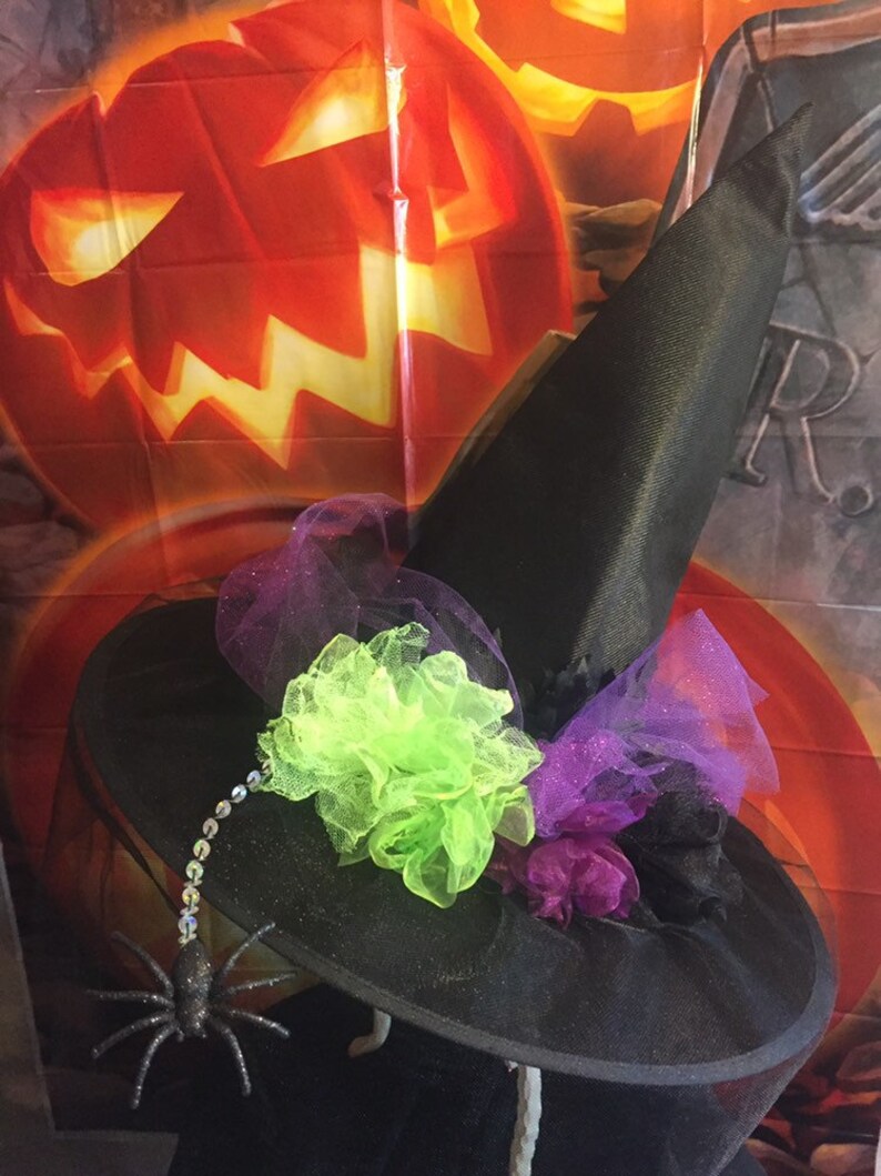 May include: A black witch's hat with a wide brim and a tall pointed crown. The hat is decorated with green, purple, and black tulle and a sparkly spider.