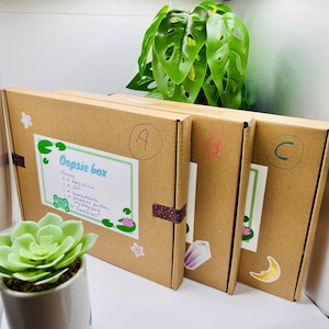 Boîte mystère « Oopsie » / Articles de qualité B / Porte-clés autocollants de journalisation Jolie boîte surprise kawaii / Cadeau pour enfants