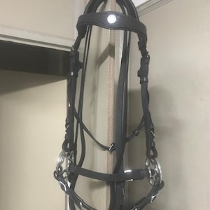 May include: Black leather horse bridle with silver-colored metal accents. The bridle features a padded browband and cheekpieces, along with a noseband and bit rings. The image shows the bridle hanging against a neutral-colored wall.