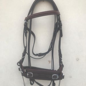 May include: A brown leather horse bridle with silver buckles and a bit. The bridle is hanging on a white wall.