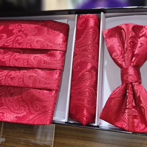 May include: A formal red paisley patterned set including a cummerbund, necktie, and bow tie, presented in a black box with white dividers. The set is made of a shiny, textured fabric.