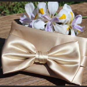 Puede incluir: Una pajarita de satén dorada clara con un pañuelo de bolsillo a juego. La pajarita está atada y lista para usar.