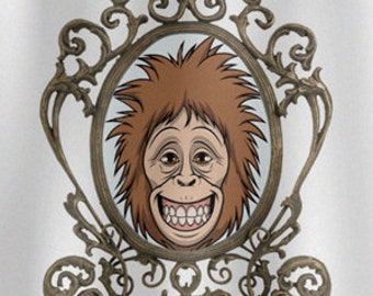 Funny Monkey Mirror Shower Curtain, Extra Long Fabric Stall