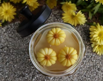 Vela de soja Pumpkin Patch / Especias otoñales, con incrustaciones de calabaza