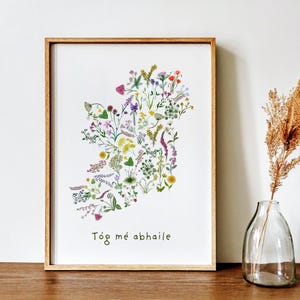 以下が含まれることがあります： アイルランドの形をした花のイラストが描かれたフレーム付きプリント。カラフルな野花と蝶が描かれています。「Tóg mé abhaile」というテキストがプリントの下部に書かれています。