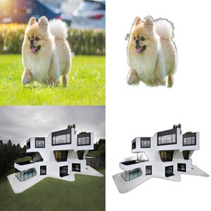 Op de afbeelding: Een kleine, pluche, lichtbruine dwergspits met een witte borst en witte poten rent over groen gras. De hond heeft een roze neus en de tong steekt uit. De hond is scherp, de achtergrond is wazig.