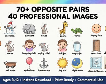 Opposite Words Flashcards 70+ paar visueel leerpakket voor thuisonderwijs in de klas voor ESL