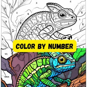 Animal Color by number Kids Printable Easy color by number Code Pattern Adult Coloring by Number Preschool Coloring Pages Paint by Numbers