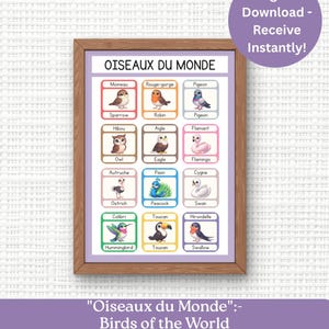 May include: A framed poster titled "Oiseaux du Monde" featuring illustrations of various birds with their French and English names. The poster includes a digital download notice and text: "Birds of the World Learn French with Birds Bilingual Poster for Kids."