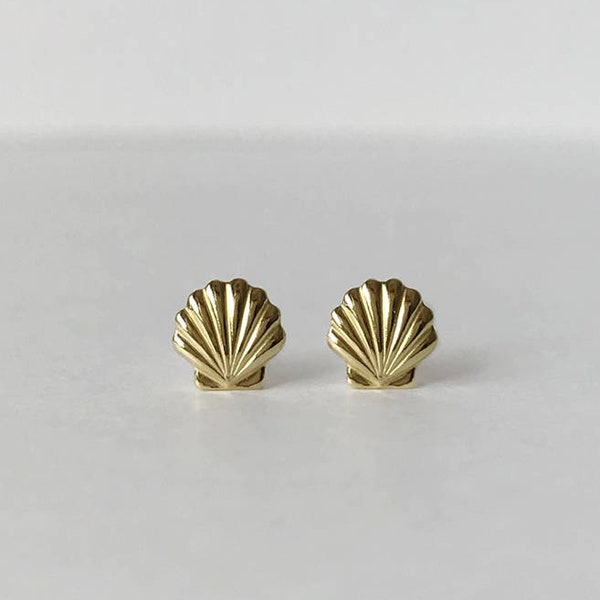 Shell Stud Earrings - Etsy