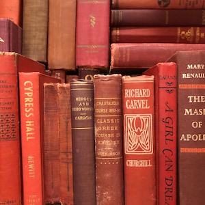 Red Vintage Books By the Foot