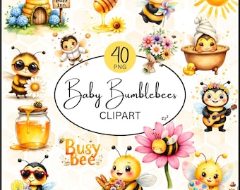 Aquarell-Hummel-Clipart-Bundle, niedliche Honigbiene (PNG)