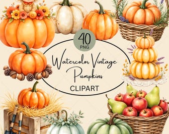 Vintage Pumpkin Clipart PNG, Watercolor Fall Harvest Bundle