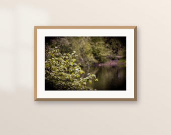 Leaves Over a Quiet River Printable | Alaska Forest Digital Download