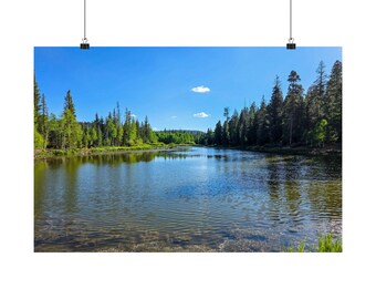 May include: A landscape photograph of a calm lake surrounded by a dense forest of evergreen and deciduous trees under a clear blue sky with two small white clouds. The water reflects the surrounding trees and the bright daylight.