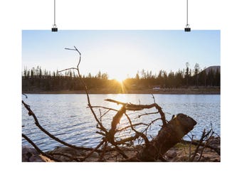 May include: A landscape photograph featuring a large, weathered tree trunk and bare branches in the foreground. Behind the wood, a calm lake reflects the bright, golden light of a setting sun. A dense line of pine trees borders the distant shore.