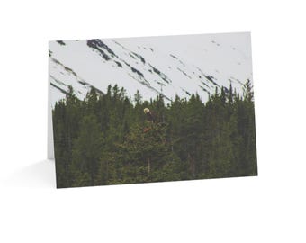 May include: A greetings card featuring a photograph of a bald eagle with a white head and dark brown body perched atop a green coniferous tree, set against a backdrop of a dense forest and a snow-covered mountain peak under a bright sky.