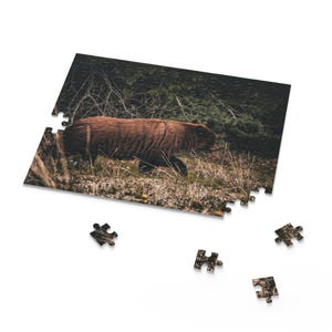 Bear Photo Jigsaw Puzzle - Glossy Finish, Gift-Ready Packaging - 100, 252, and 500pcs