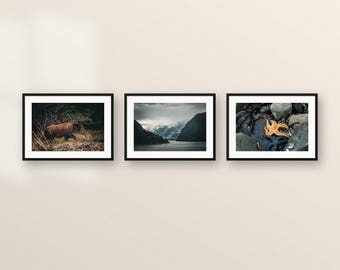 Alaska Printable Set of 3 | Bear, Fjord and Sea Stars Digital Download