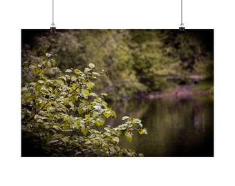 May include: A wall art print featuring a close-up of green leafy branches hanging over a dark, reflective body of water. The scene is framed by a dark vignette, with the print suspended by two black metal clips from a thin wire.