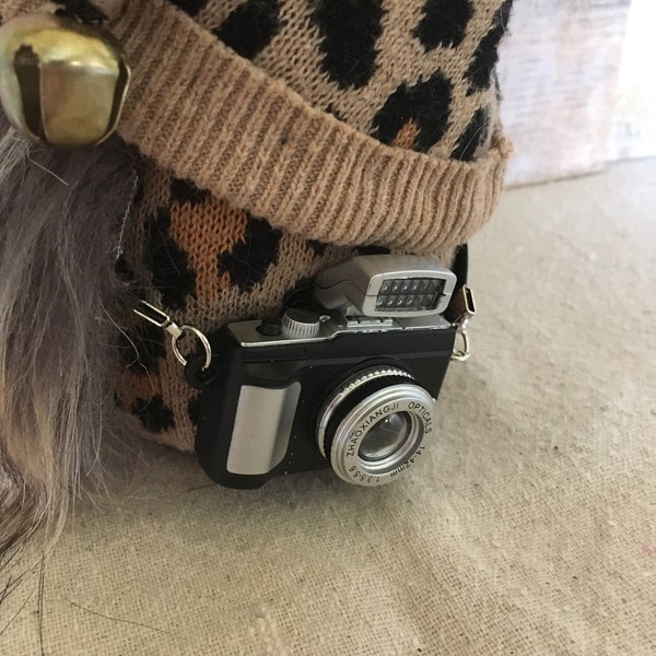 Swedish Gnome with Camera, Tomte, Nisse, Home Guardian,Photographer Gnome