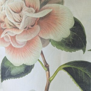 Camellia Folly Parchment John Derian Designers Guild pillow cover