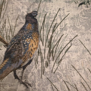Cozy Soft Fall Pheasant Gray Blue Brown Cream Pillow Cover