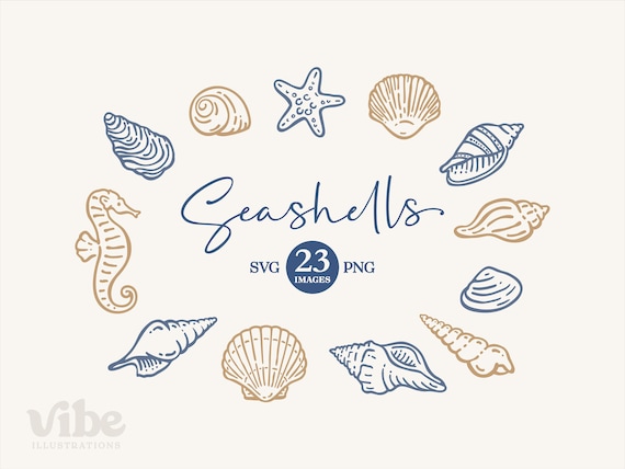 Seashells Clipart: Hand Drawn Coastal Shells  (SVG, PNG, Commercial Use)