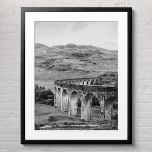 Può includere: Una fotografia in bianco e nero di un ponte ad arco in pietra in un paesaggio rurale. Il ponte è fatto di molti archi e si curva attorno a una collina. Il ponte è circondato da erba verde e alberi.