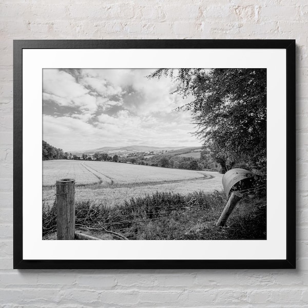 Irish Countryside Photo: Black and White Farm Landscape (Digital Download)
