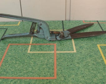 Vintage Grass Clippers Grass Shears Grass Trimmer Craftsman Blue/Green