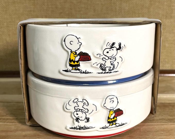 Rae Dunn X Snoopy Peanuts Gang Pottery Collection - Set of ‘dinner ...